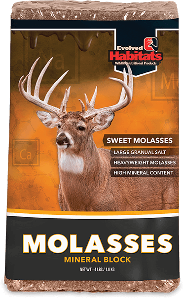 Evolved® Molasses Block, 4 lb