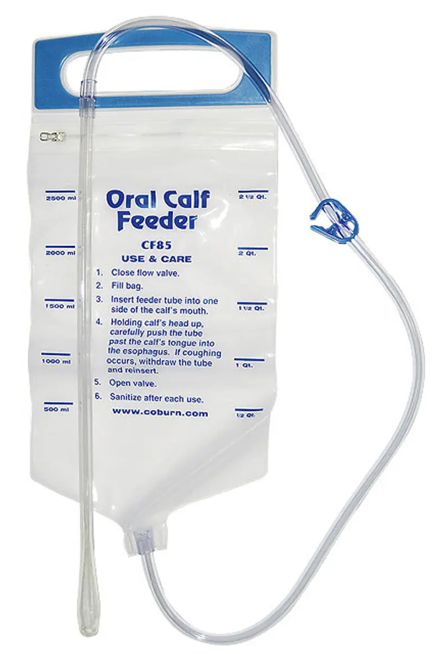 Oral Calf Feeder