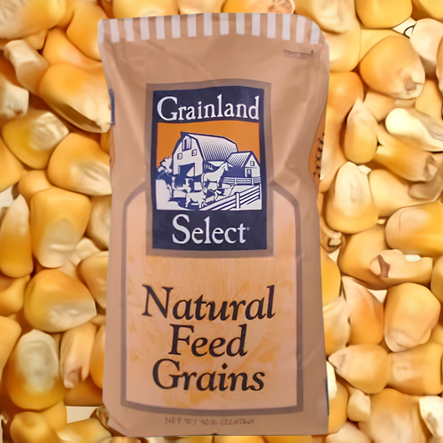 Grainland Select® Whole Corn – 50lb Bag