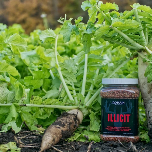Domain® Illicit™ 3lb Jar
