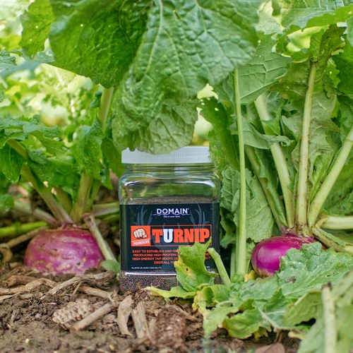 Domain® Pounder Turnip 1lb Jar
