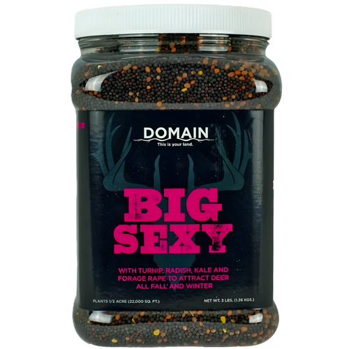 Domain® Big Sexy™ 3lb Jar