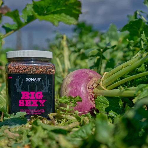 Domain® Big Sexy™ 3lb Jar