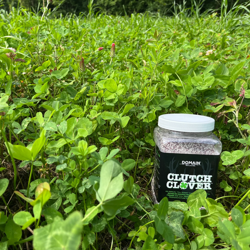Domain® Clutch Clover™ 2.25lb Jar