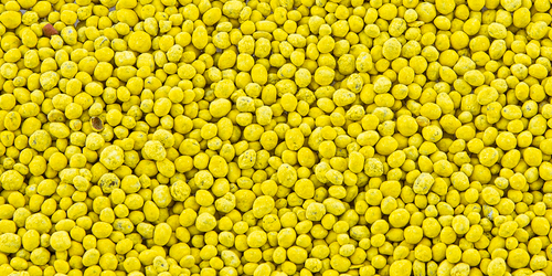 Evolved® Radish Pro™ Plot Mixers®