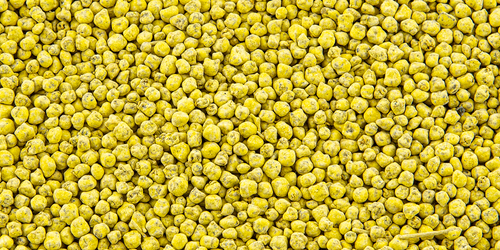 Evolved® Sugar Beet Pro™ Plot Mixers® Seed