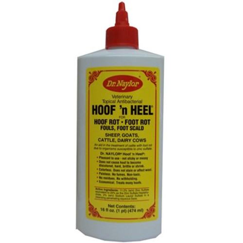 Hoof N' Heel Livestock Ointment 16-oz.