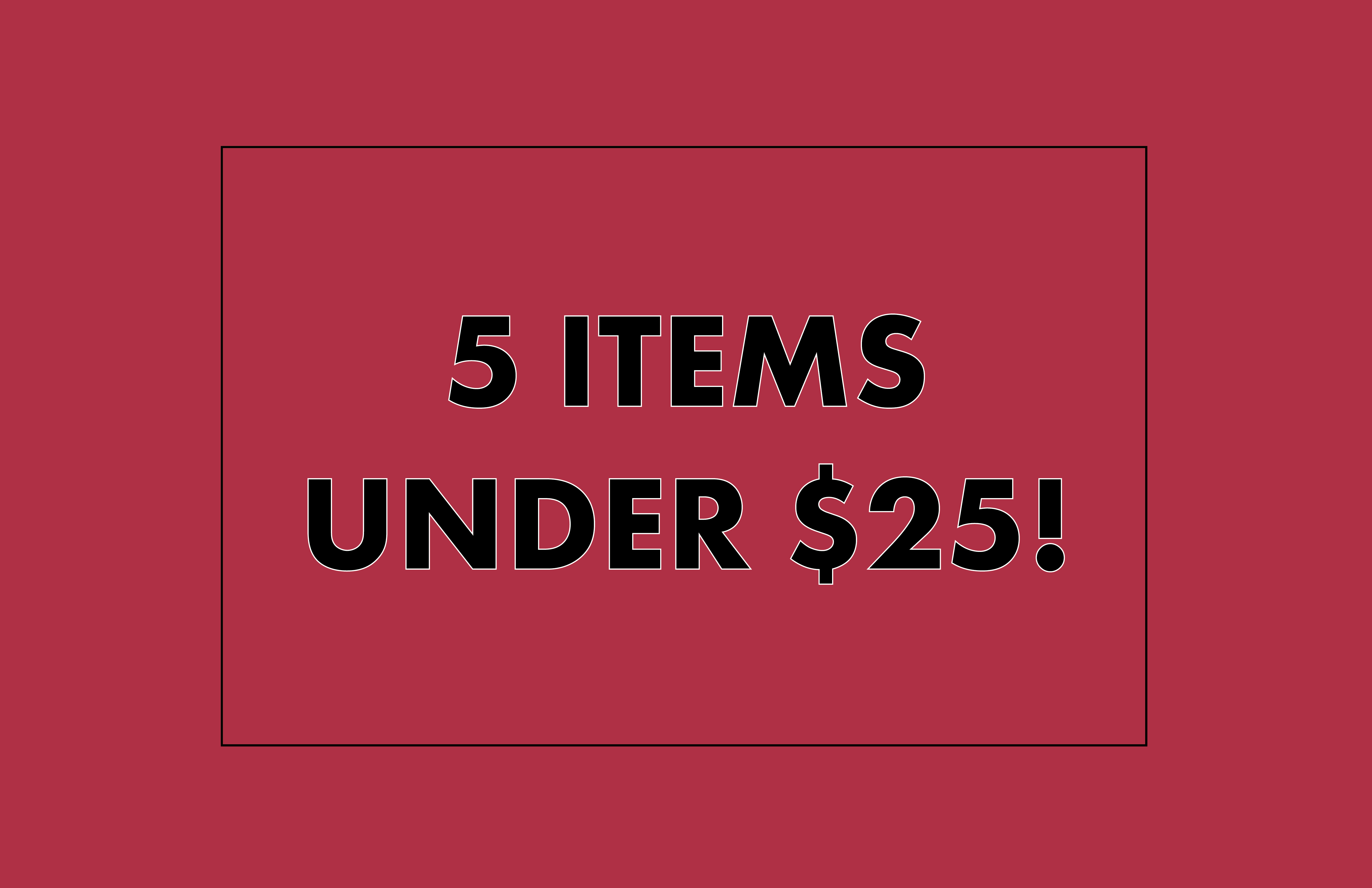 Five Items Under $25 that you Must Have!