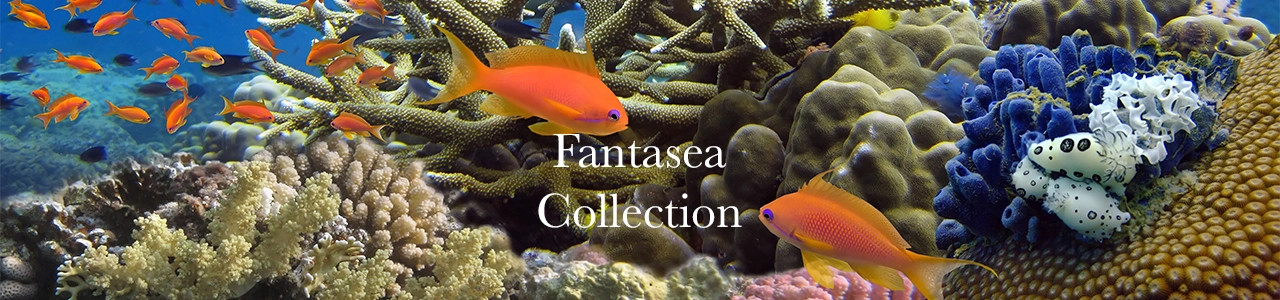 Coral Reef Collection