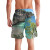 little bay anguilla mens swim trunks