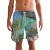 little bay anguilla mens swim trunks