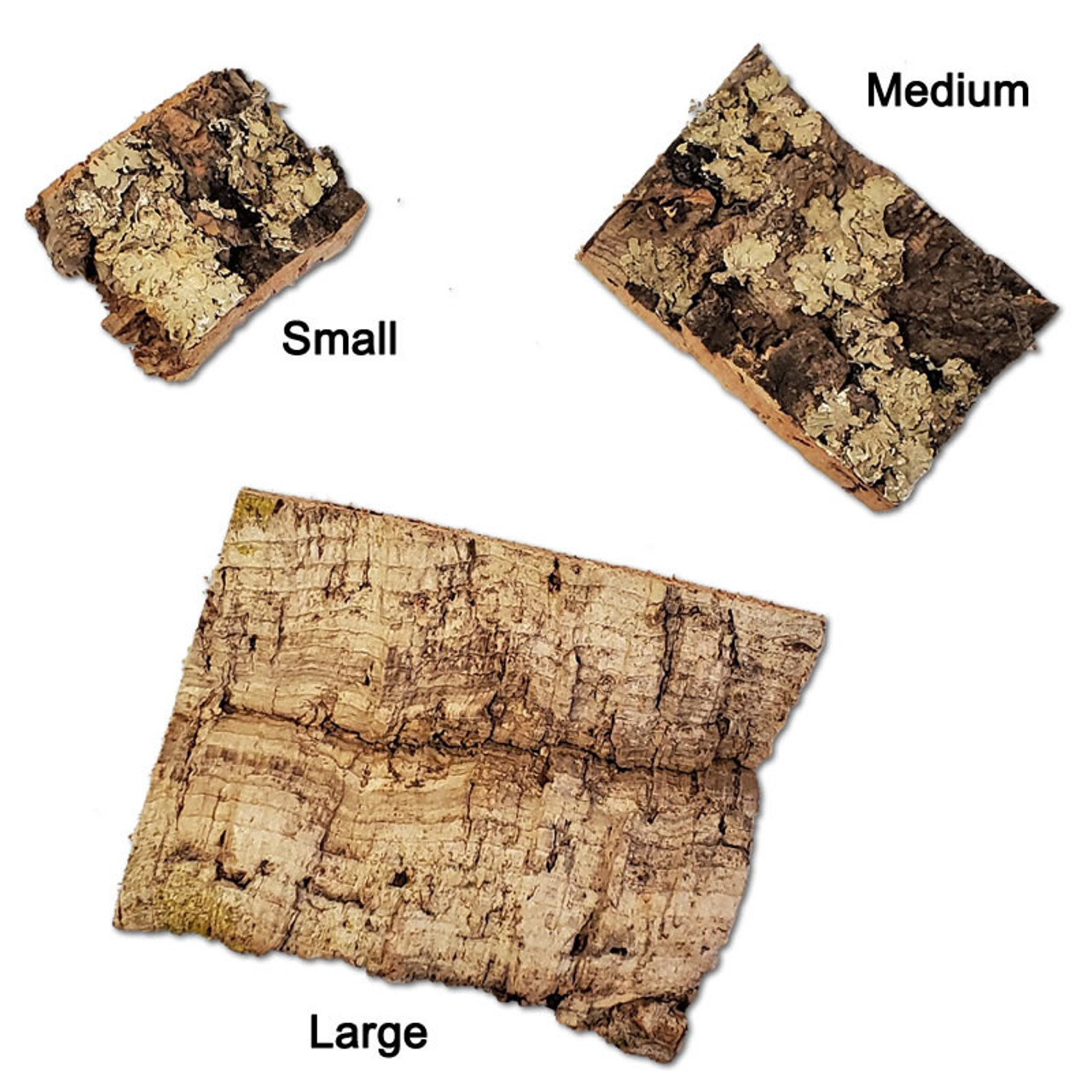 Medium Cork Bark Slice 2pk