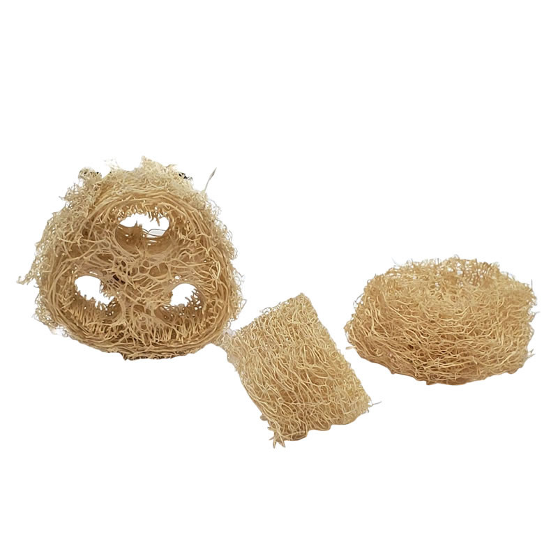Luffa Slices - AllBirdToyBuilders.com