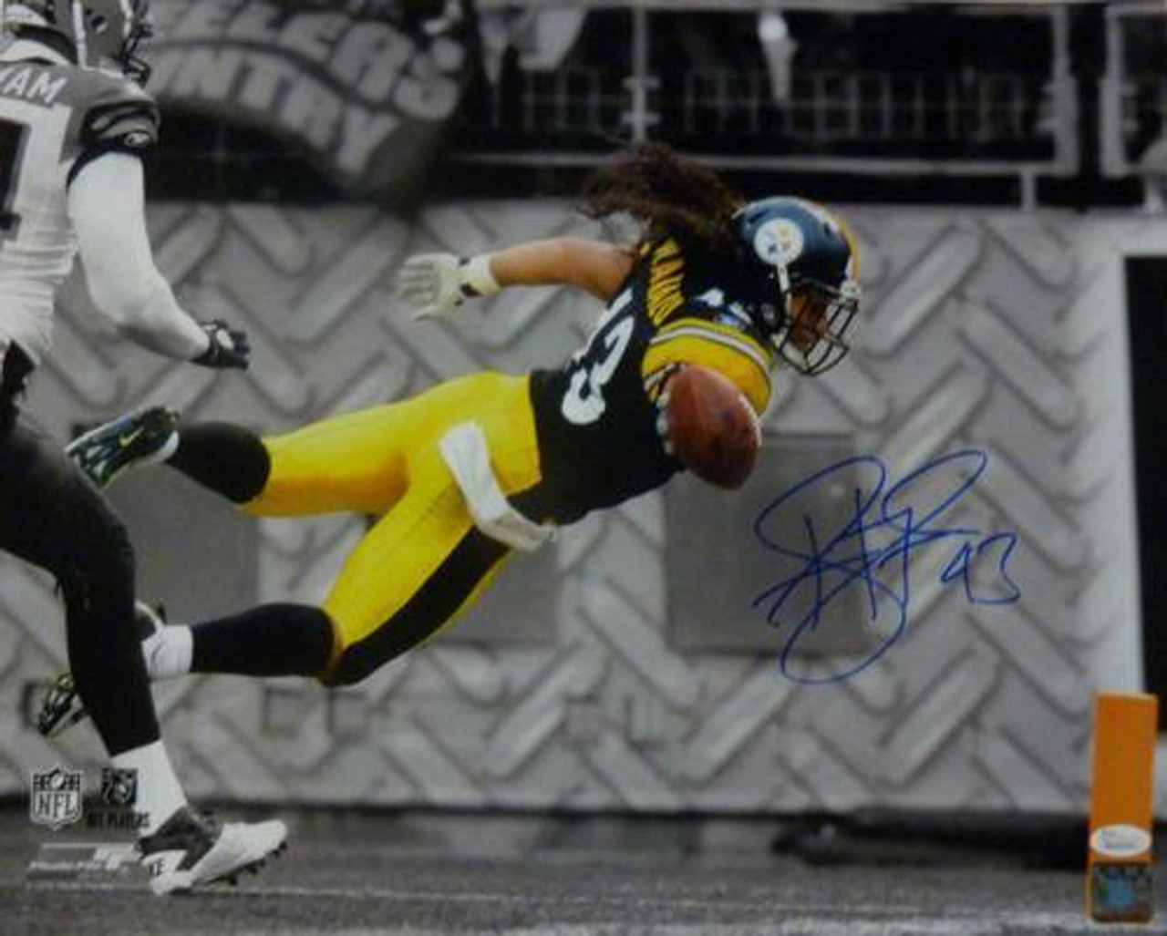 troy polamalu signed jersey