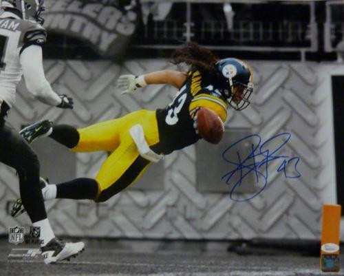 Troy Polamalu Pittsburgh Steelers Autographed 16x20 Football Photo