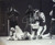 Lawrence Taylor New York Giants Sack Celebration 16x20 Photo