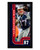Rob Gronkowski New England Patriots Mini Framed Photo