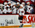 Tim Stutzle Ottawa Senators Autographed Goal Celebration 8x10 Photo Tim Stutzle Ottawa Senators Autographed Goal Celebration 8x10 Photo