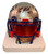 Rob Gronkowski  New England Patriots Speed NFL Mini Helmet with Custom Face-mask and Visor