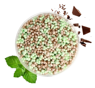 Mint Chocolate Ice Cream