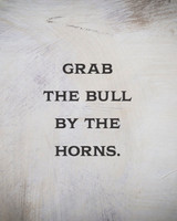 Grab the Bull by the Horns.