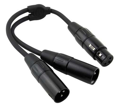 Pig Hog Solutions - 6" Y Cable - XLR (F) - Dual XLR (M)