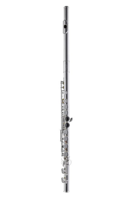 Leblanc LFL211E concert flute in silver-plated nickel silver with closed holes, offset G, Y-arm keywork, split E mechanism, and hard case.