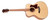 Gilman GA10LH Acoustic Auditorium - Left Handed - Natural FRONT