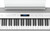 Roland FP-60X Digital Piano Bundle - White
