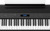 Roland FP-90X Portable Digital Piano - Black