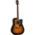 Washburn AD5CEN Dreadnought Acoustic Guitar Pack Sunburst