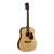 Earth 100 Dreadnought Acoustic Guitar - Natural