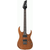 RG421 MOL Electric Guitar  - Mahogany Oil