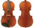 Enrico Student Plus II Violin Outfit - solid spruce top, Stradivari - body back and front