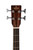 Sigma BMC-15E Acoustic Bass Mahogany w/ Gig Bag
