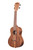 KALA Teak Concert Ukulele