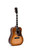 SIGMA DM-SG5 Hummingbird Dreadnought Acoustic