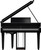 Roland GP-9M Self Playing Digital Grand Piano - Polished Ebony Front Keys
