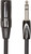 Roland RCC-5-TRXM Interconnect Cable - TRS to XLRM 5ft