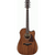 Ibanez AW1040CE Acoustic Guitar All Solid - Open Pore Natural