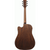 Ibanez AW1040CE Acoustic Guitar All Solid - Open Pore Natural