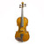 Stentor Student I Violin Outfit 1/2 Size Body