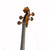 Stentor S1044 Student Full Size 4/4 Cello w/ Bag