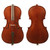 Enrico Student II Cello Outfit – 1/2