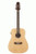 Ashton D20 12-String Acoustic-Electric Guitar w/ EQ - Natural