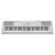 Yamaha EZ-310 Portable Light-Up Keyboard