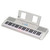 Yamaha EZ-310 Portable Light-Up Keyboard