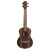 Ortega Ebony Series Tenor Ukulele (ORT-RUEB-TE) featuring ebony top, back and sides with open-pore satin finish, reverse-style ebony headstock veneer with gold die-cast tuners, tortoise binding, walnut fretboard, and included deluxe padded gig bag.