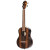 Ortega Ebony Series Tenor Ukulele (ORT-RUEB-TE) featuring ebony top, back and sides with open-pore satin finish, reverse-style ebony headstock veneer with gold die-cast tuners, tortoise binding, walnut fretboard, and included deluxe padded gig bag.