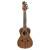 Ortega Horizon Series Concert Ukulele in Walnut Natural with reverse 4-in-line headstock, gold tuners with black buttons, open pore satin finish, Tecwood fretboard, and deluxe gig bag.